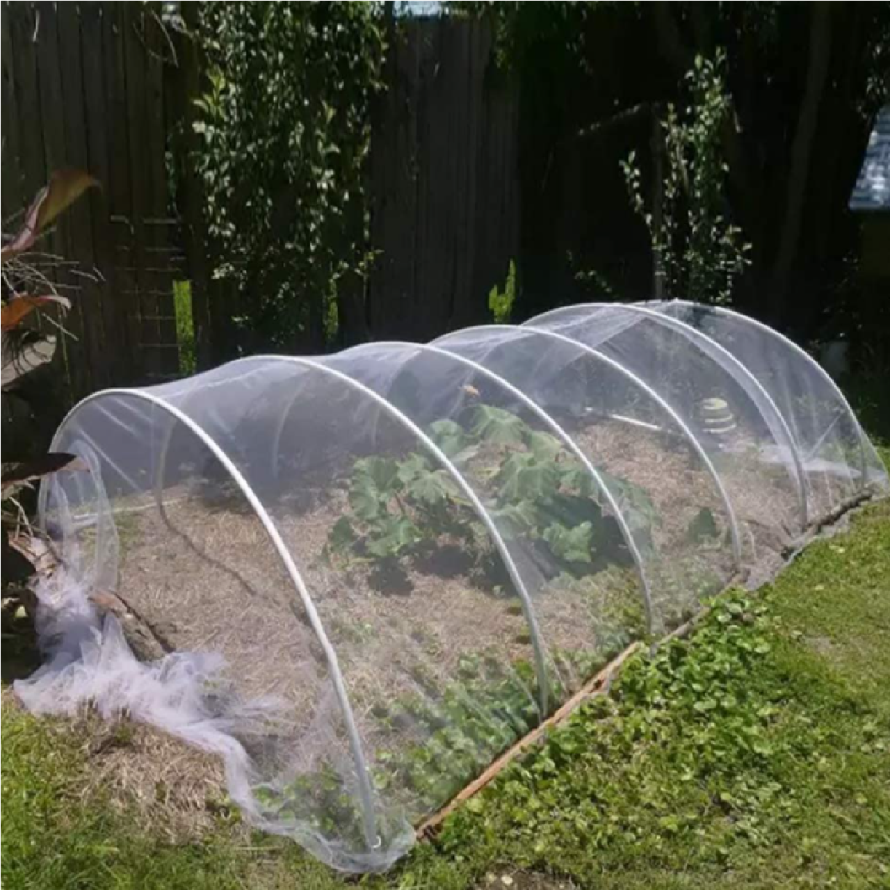 Green Hands INSECT BARRIER Netting 1.8M X 5M