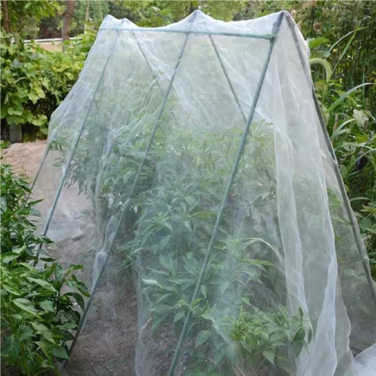 Green Hands INSECT BARRIER Netting 1.8M X 5M