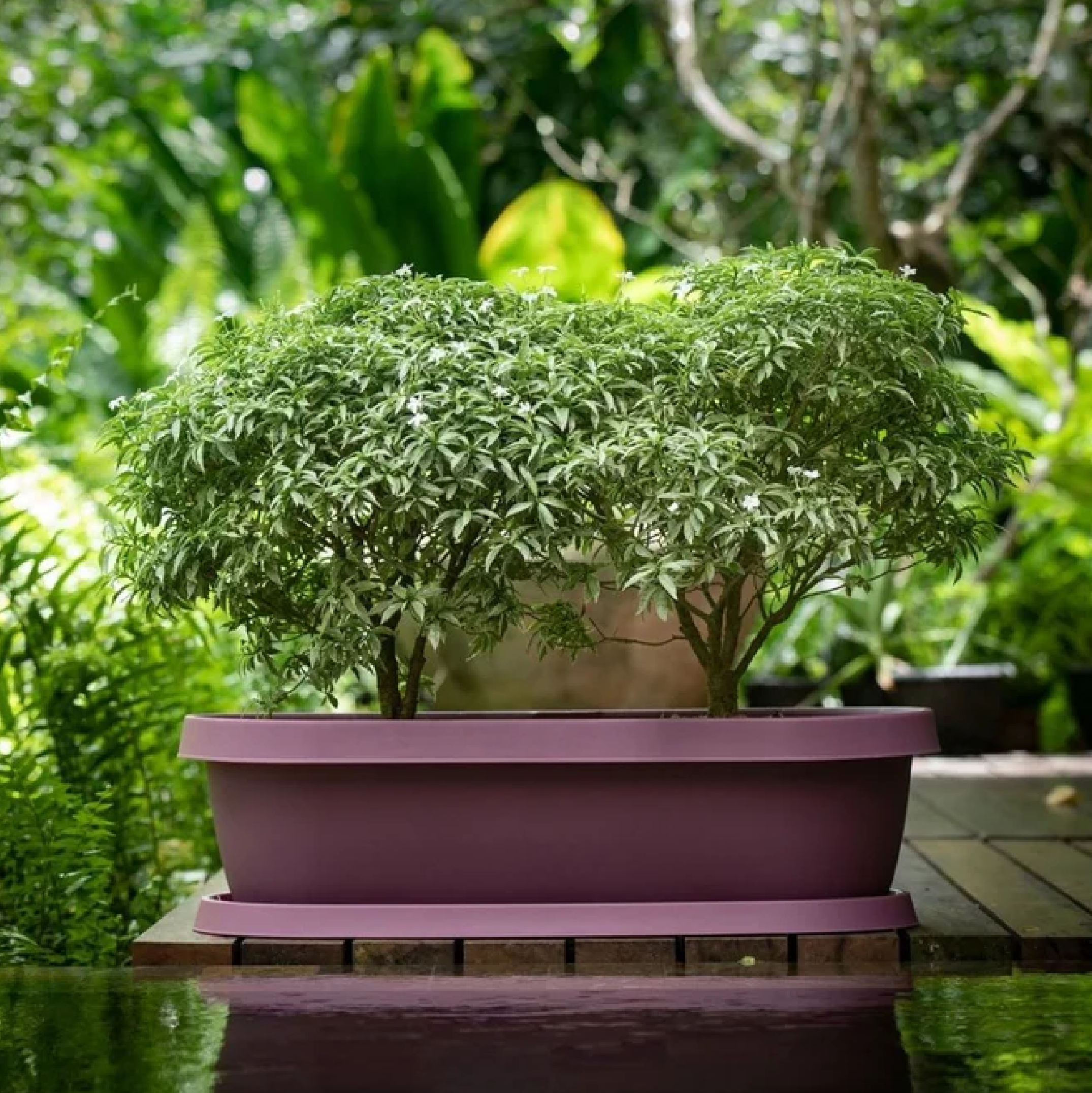 GRO Flower Pot With Tray 27L DESERT BEIGE RECTANGLE