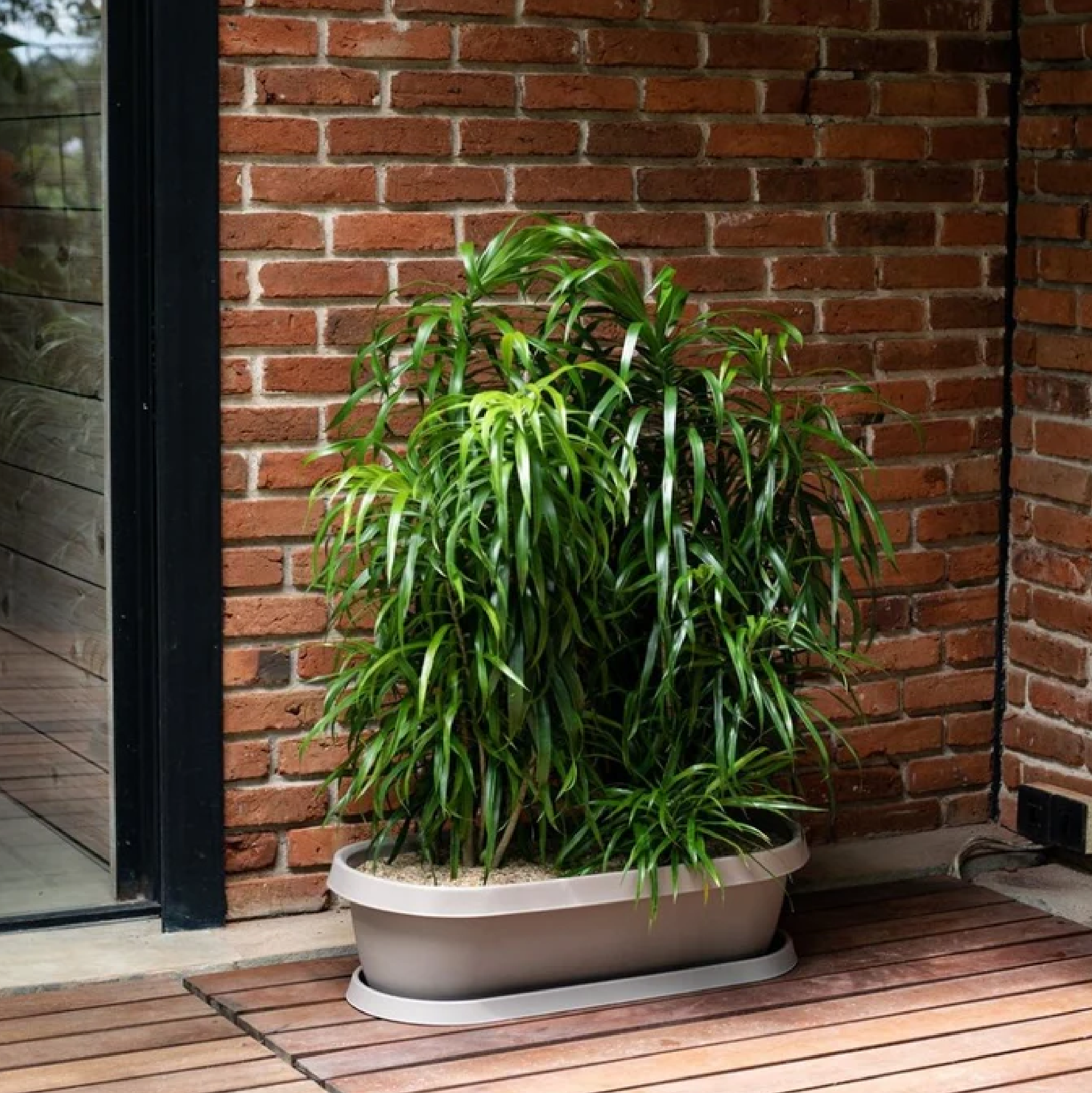 GRO Flower Pot With Tray 27L HIBISCUS RECTANGLE