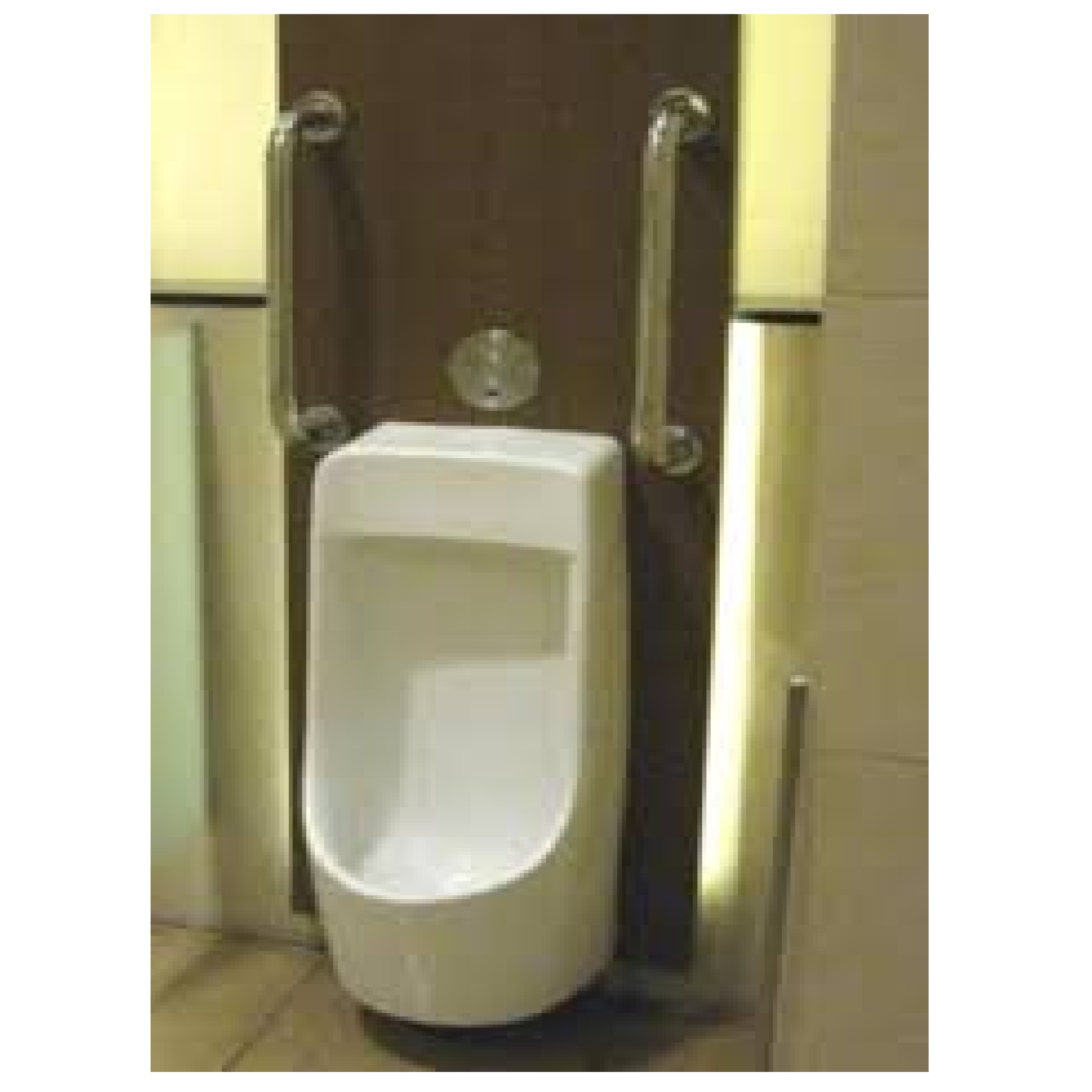 HardwareCity Grab Bar Set For Gents Urinal (PAIR)