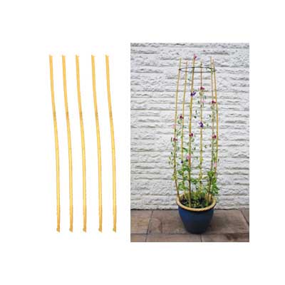 Plant Support Bamboo Canes, 5PC/Pk