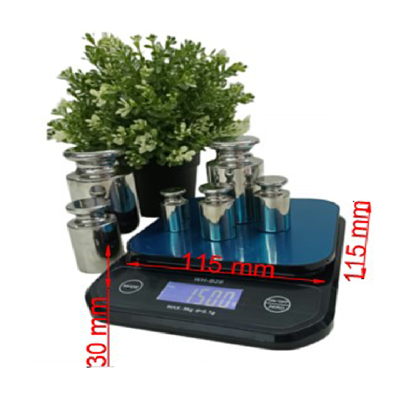 Professional Digital Kitchen Weighing Scale Rechargeable 5KG WH-B28