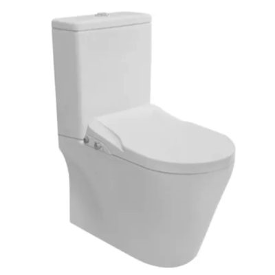 RIGEL NR-WB9030F WHIRLWASH Toilet Bowl