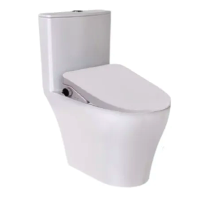 RIGEL Rimless WHIRLWASH ONE-PIECE Toilet Bowl WO8056F
