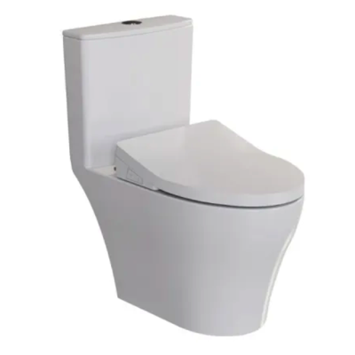 RIGEL Rimless WHIRLWASH ONE-PIECE Toilet Bowl WO8056F