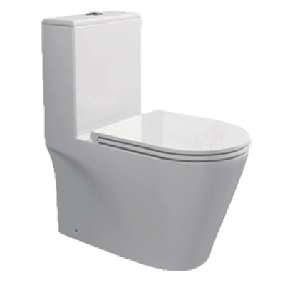 RIGEL Rimless WHIRLWASH ONE-PIECE Toilet Bowl WO8056F