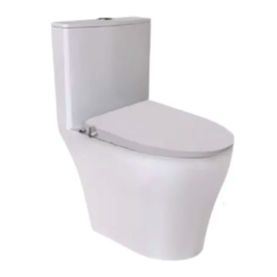 RIGEL Rimless WHIRLWASH ONE-PIECE Toilet Bowl WO8056F