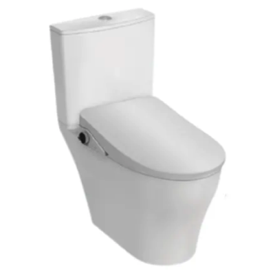 RIGEL Rimless WHIRLWASH Toilet Bowl WC8056F