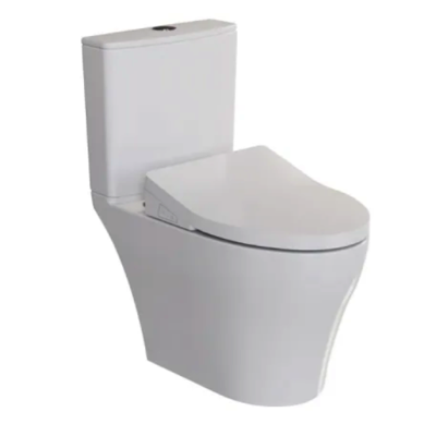RIGEL Rimless WHIRLWASH Toilet Bowl WC8056F