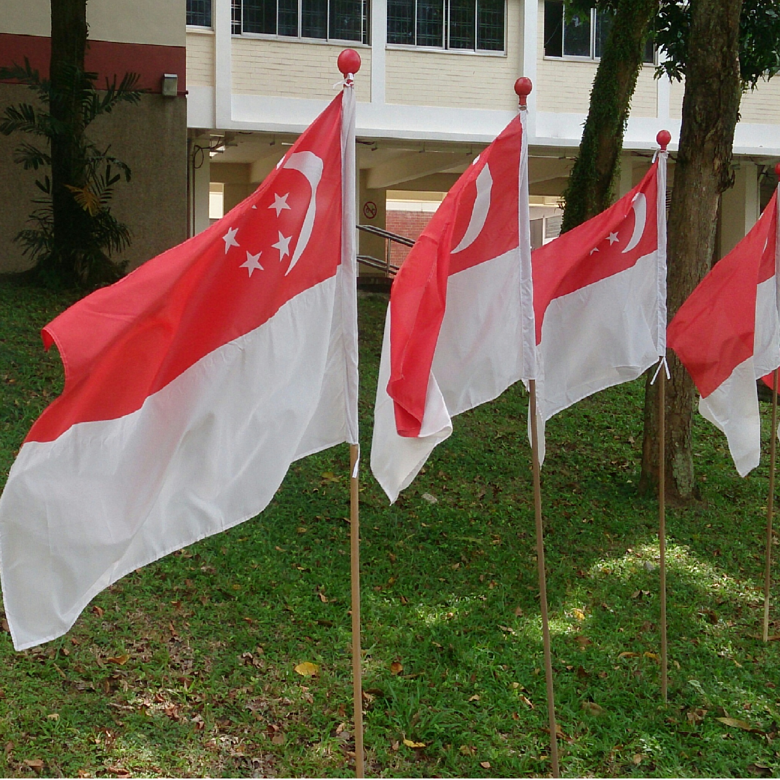 Singapore Flag 137CM X 91CM (Polyester Silk Fabric) With Red Pole Cap