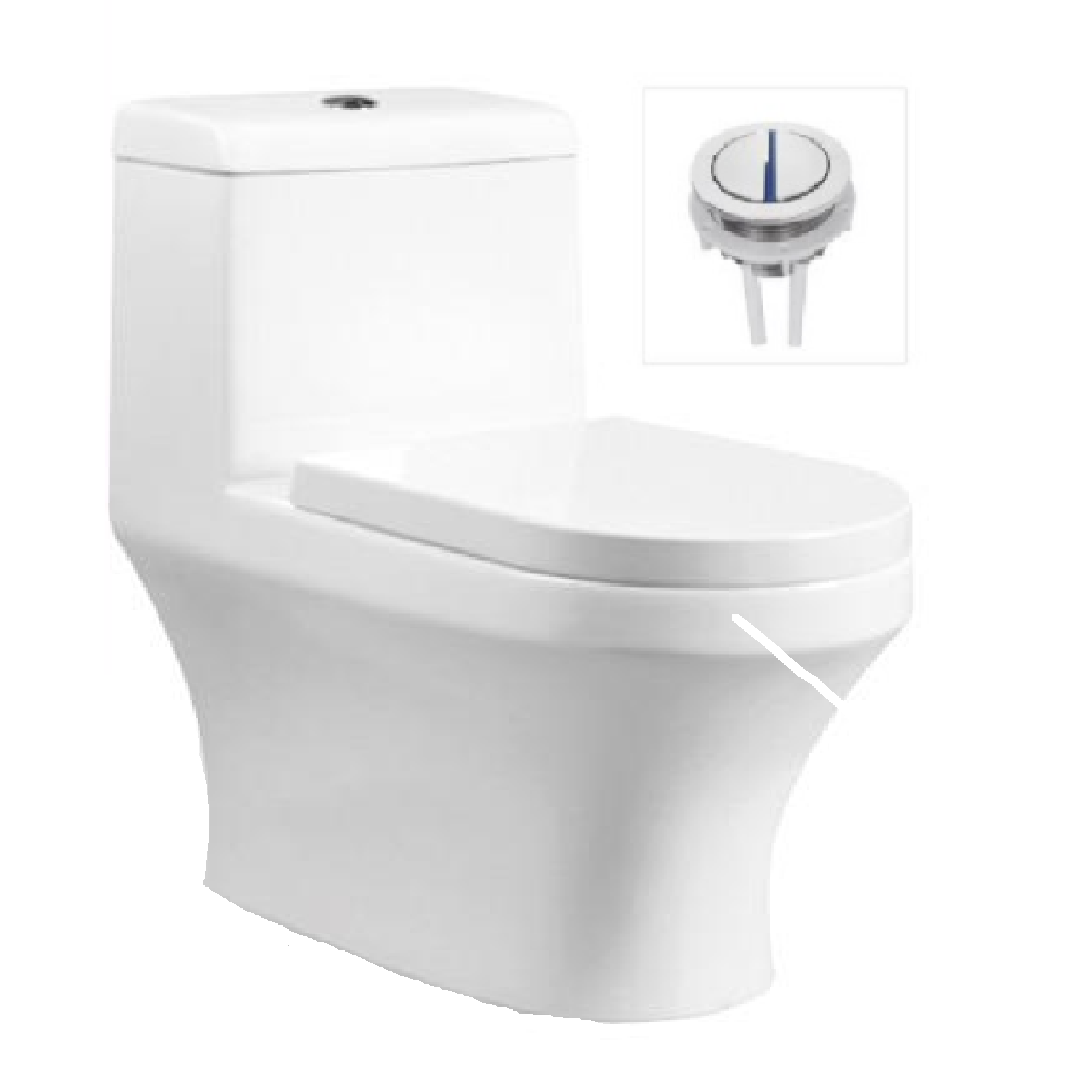 VASILE V519 One-Piece Closet Dual Flush Toilet Bowl