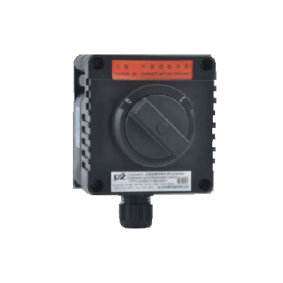 Warom CZ0240 Series Explosion Proof ON/OFF Light Switch